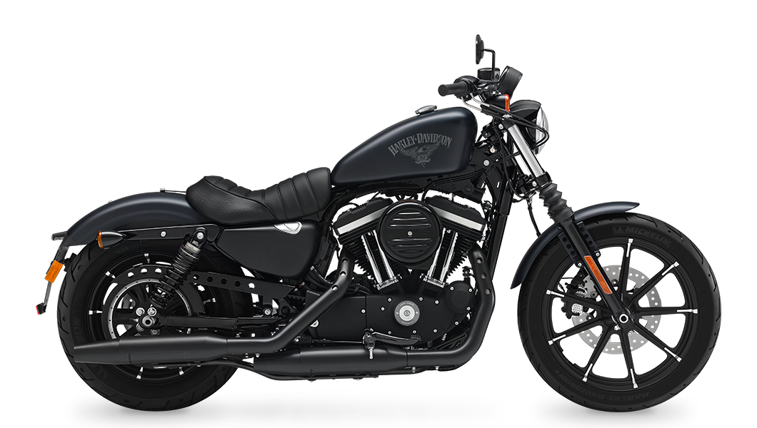 HARLEY DAVIDSON XL883N.2017